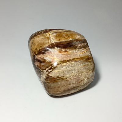Araucaria Petrified Wood Tumble