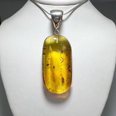 Amber Pendant with Preserved Insect Inclusion