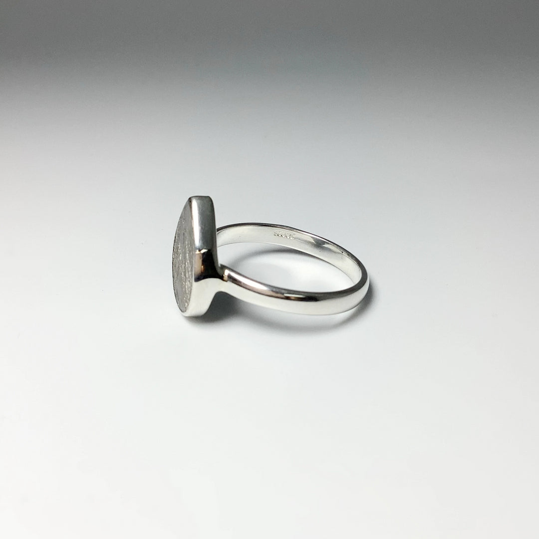 Muonionalusta Meteorite Ring - Rocks and Gems Canada