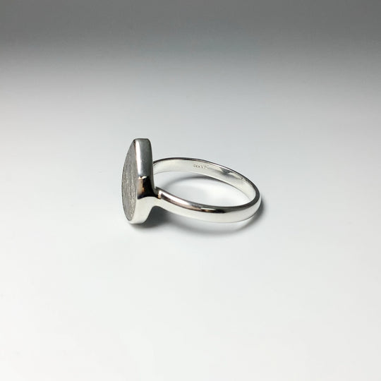 Muonionalusta Meteorite Ring - Rocks and Gems Canada