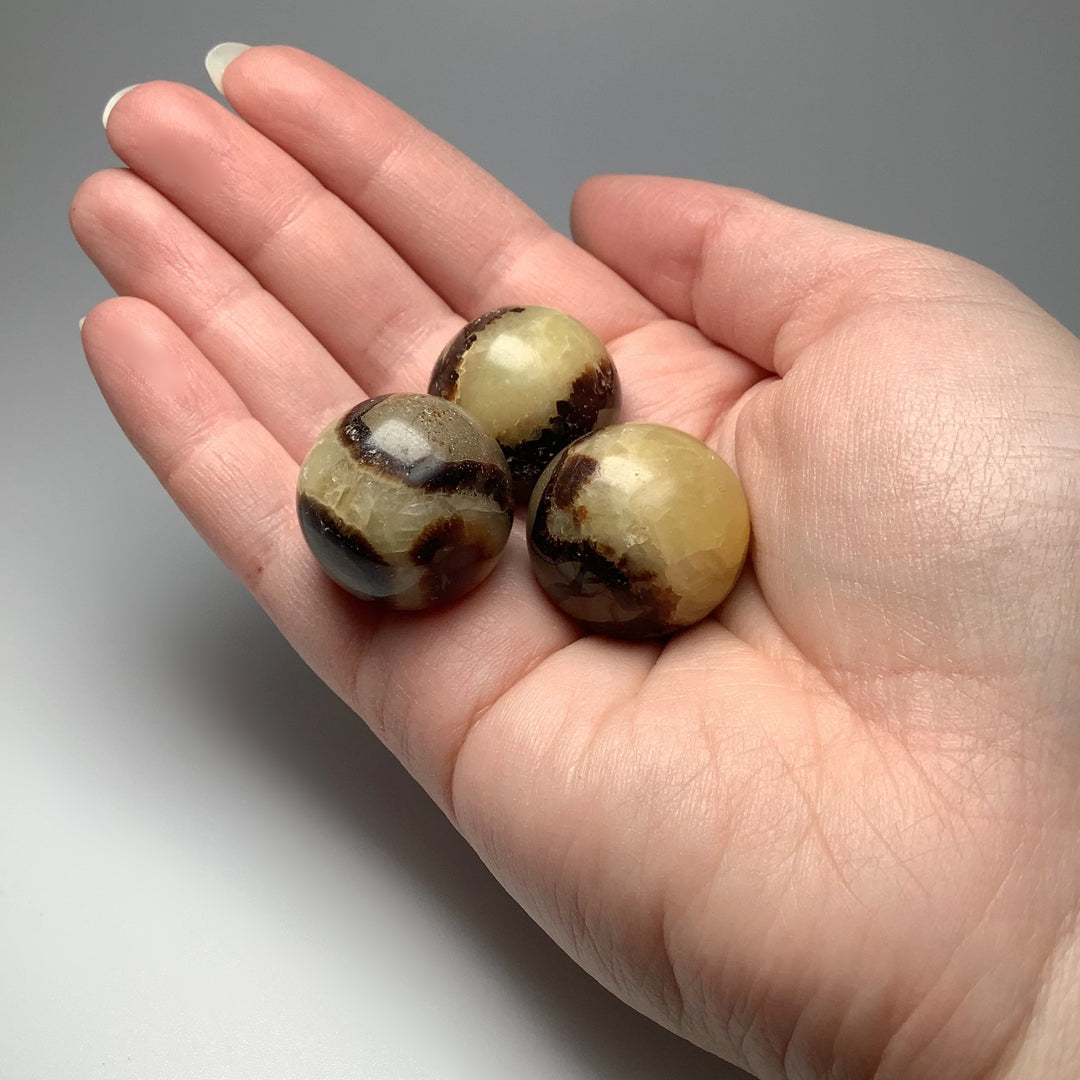 Septarian Sphere - Rocks and Gems Canada