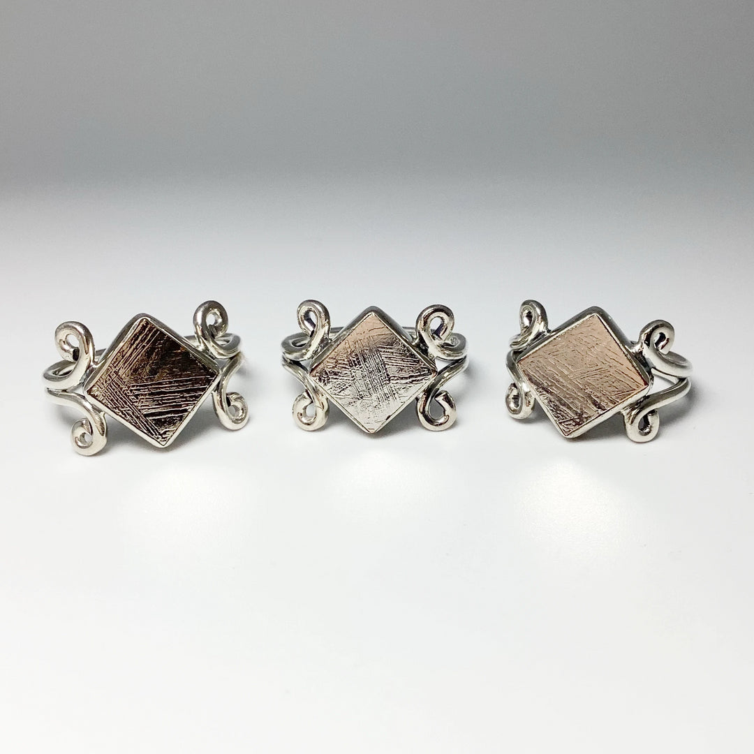 Muonionalusta Meteorite Ring - Rocks and Gems Canada