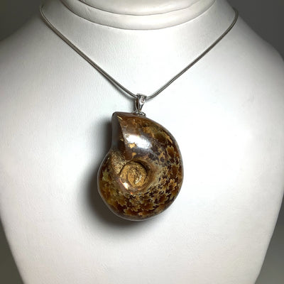 Colourful Ammonite Pendant