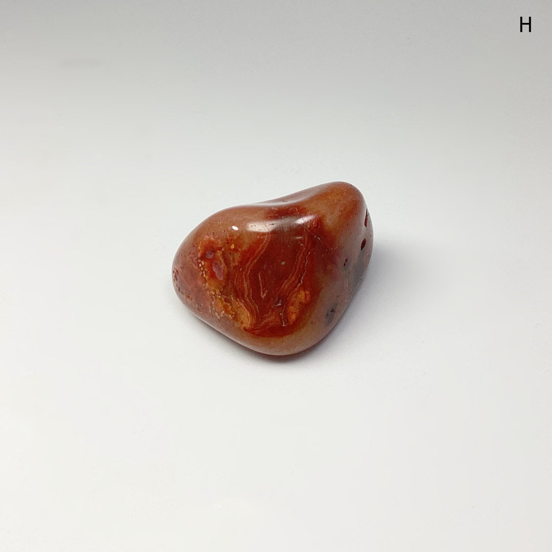 Carnelian Agate Tumble - Rocks and Gems Canada