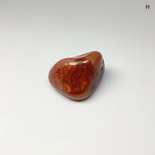 Carnelian Agate Tumble - Rocks and Gems Canada