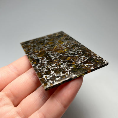 Admire Meteorite Slice