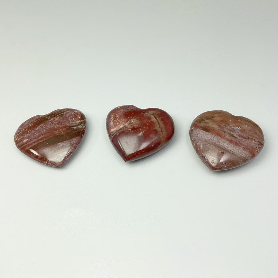 Petrified Wood Heart - Rocks and Gems Canada