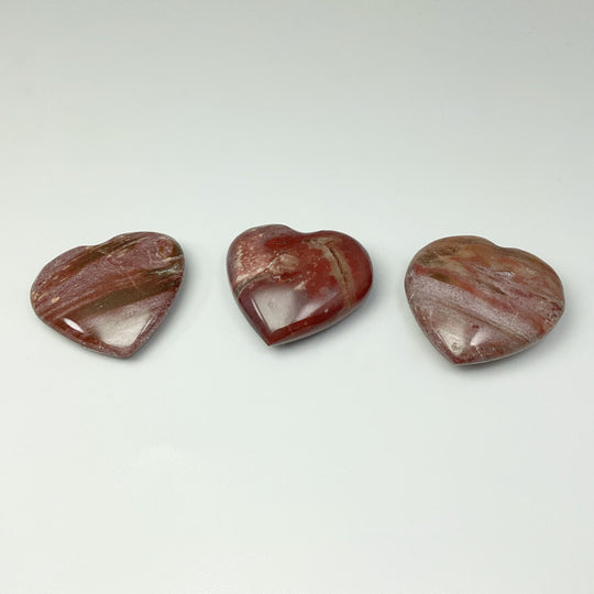 Petrified Wood Heart - Rocks and Gems Canada