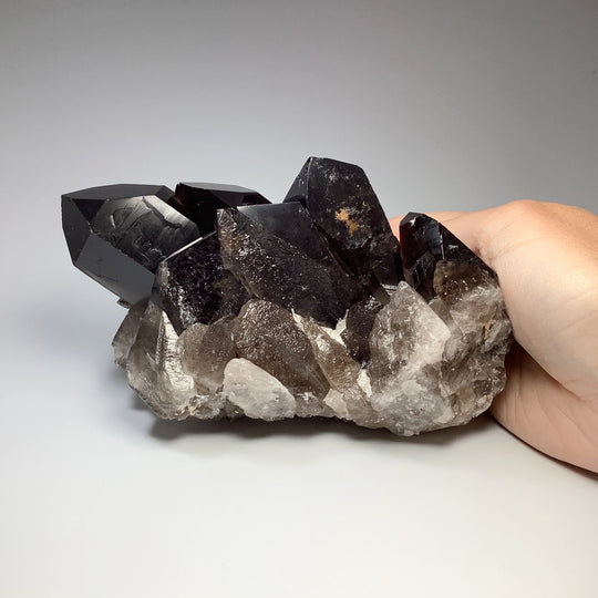 Smoky Quartz Large Cluster - Rocks and Gems Canada