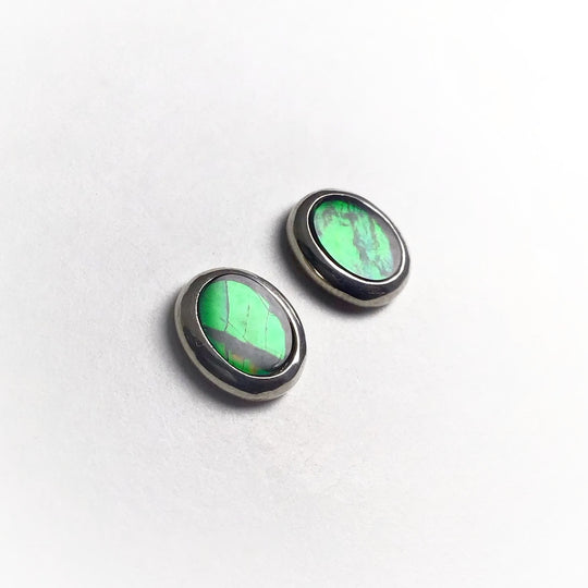 Alberta Ammolite Stud Earrings - Rocks and Gems Canada