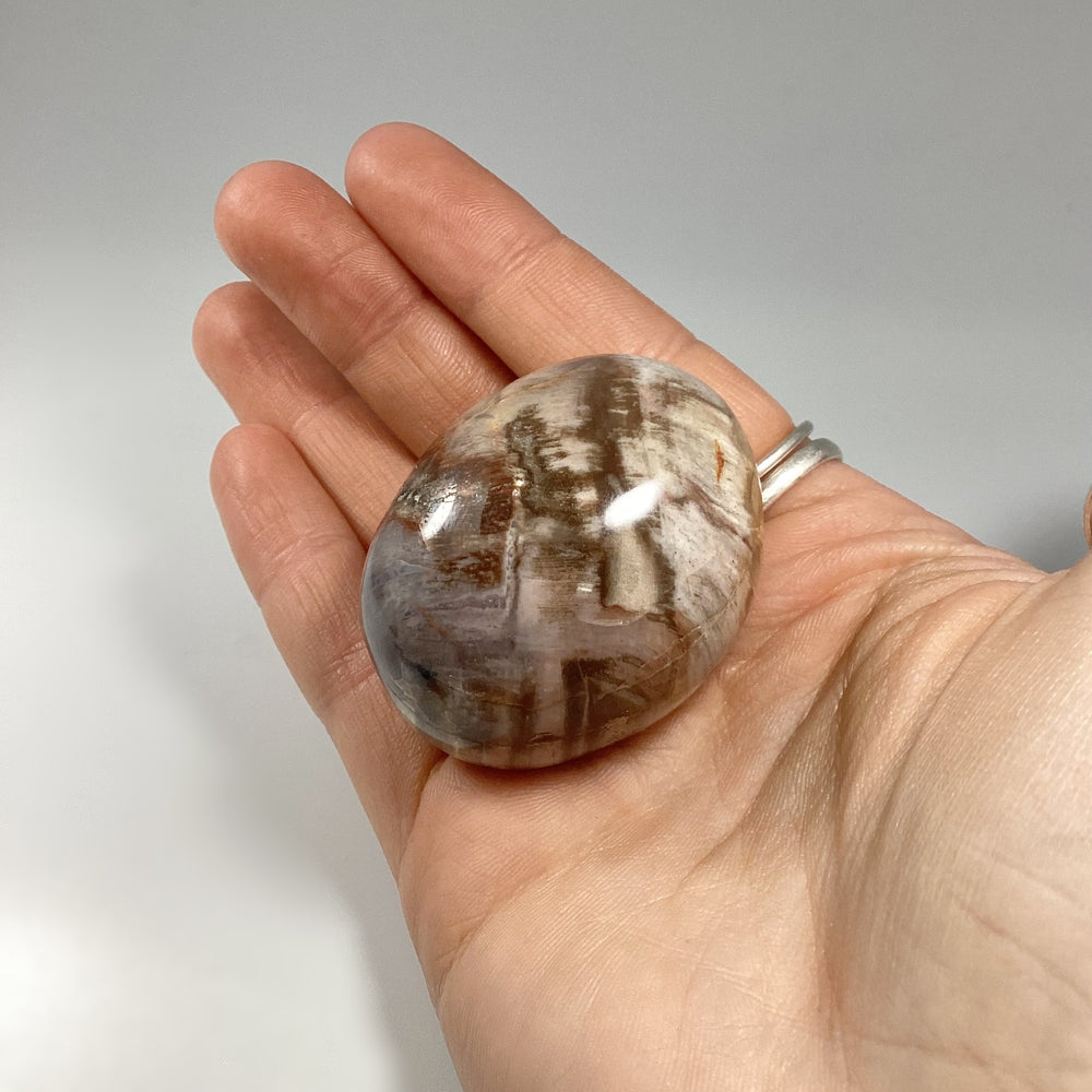 Petrified Wood Tumble - Rocks and Gems Canada