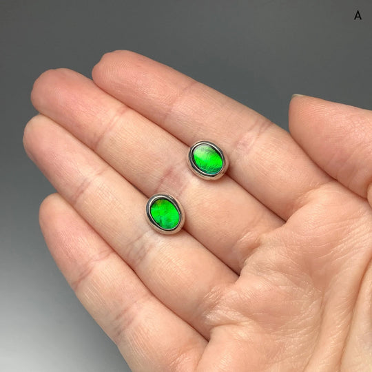 Alberta Ammolite Stud Earrings - Rocks and Gems Canada