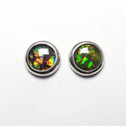 Alberta Ammolite Stud Earrings - Rocks and Gems Canada