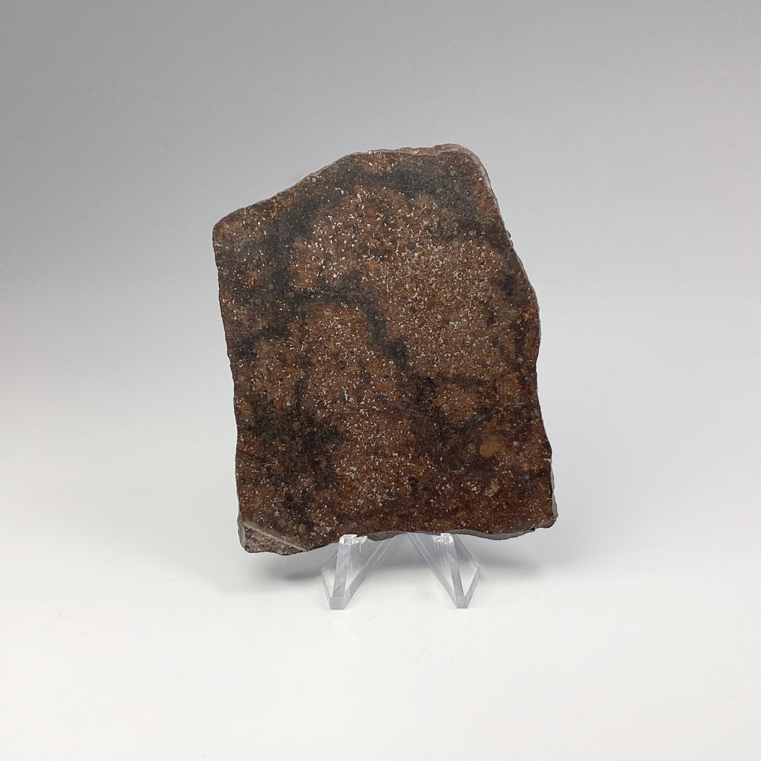 NWA Chondrite Meteorite Slab - Rocks and Gems Canada