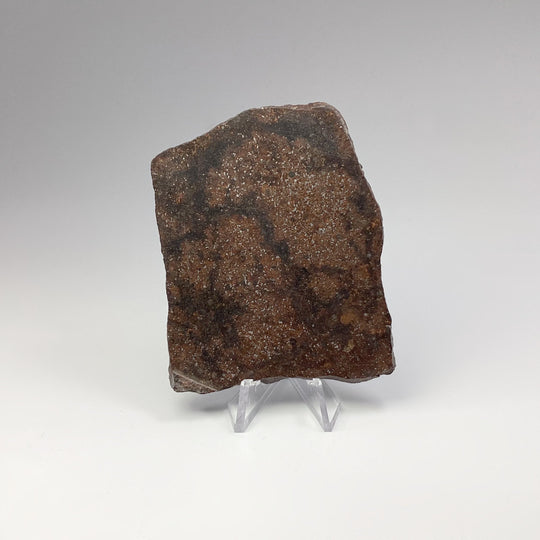 NWA Chondrite Meteorite Slab - Rocks and Gems Canada