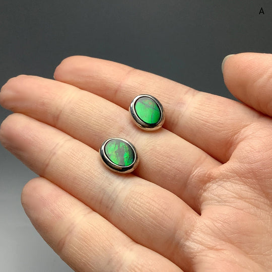 Alberta Ammolite Stud Earrings - Rocks and Gems Canada