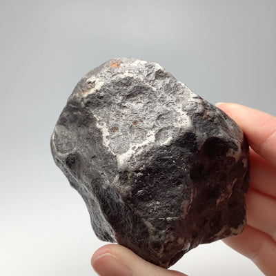 Campo Del Cielo Meteorite Large Specimen
