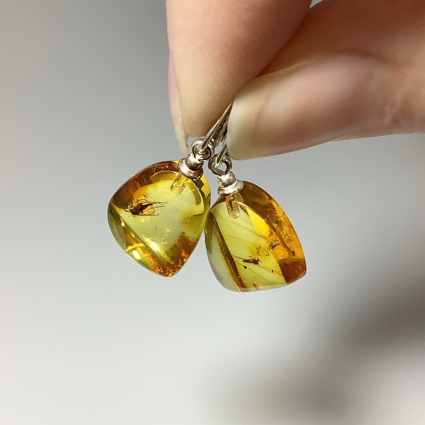 Amber with Preserved Insect Inclusion Dangle Earrings