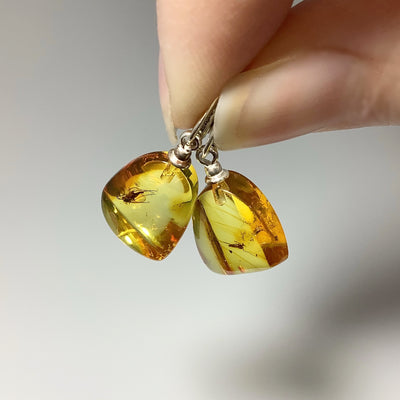 Amber with Preserved Insect Inclusion Dangle Earrings