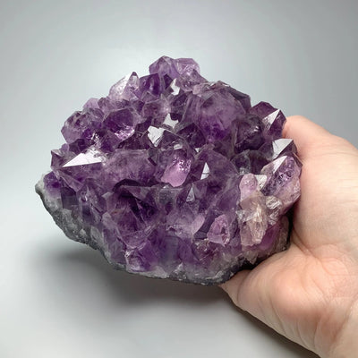 Amethyst Druze Cluster