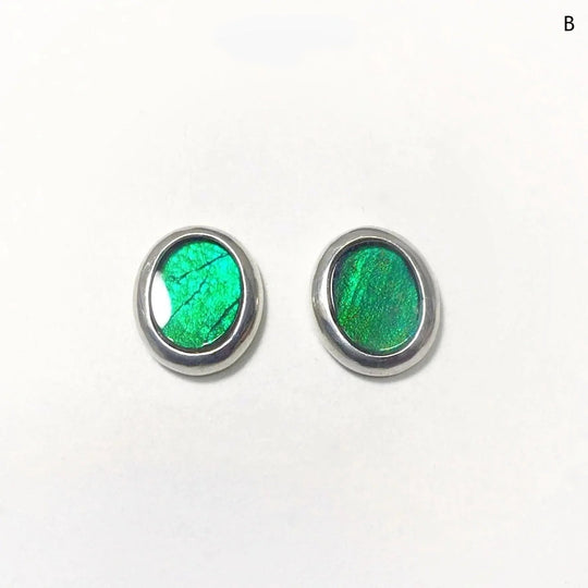 Alberta Ammolite Stud Earrings - Rocks and Gems Canada