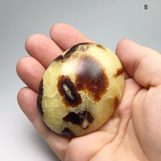 Septarian Tumble - Rocks and Gems Canada