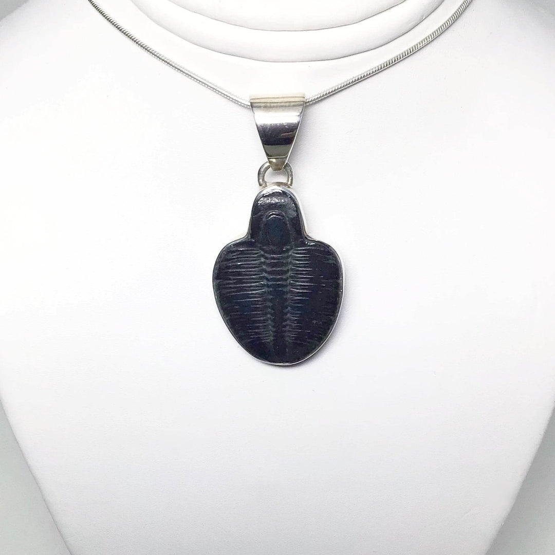 Trilobite Elrathia Kingii Fossil Pendant - Rocks and Gems Canada
