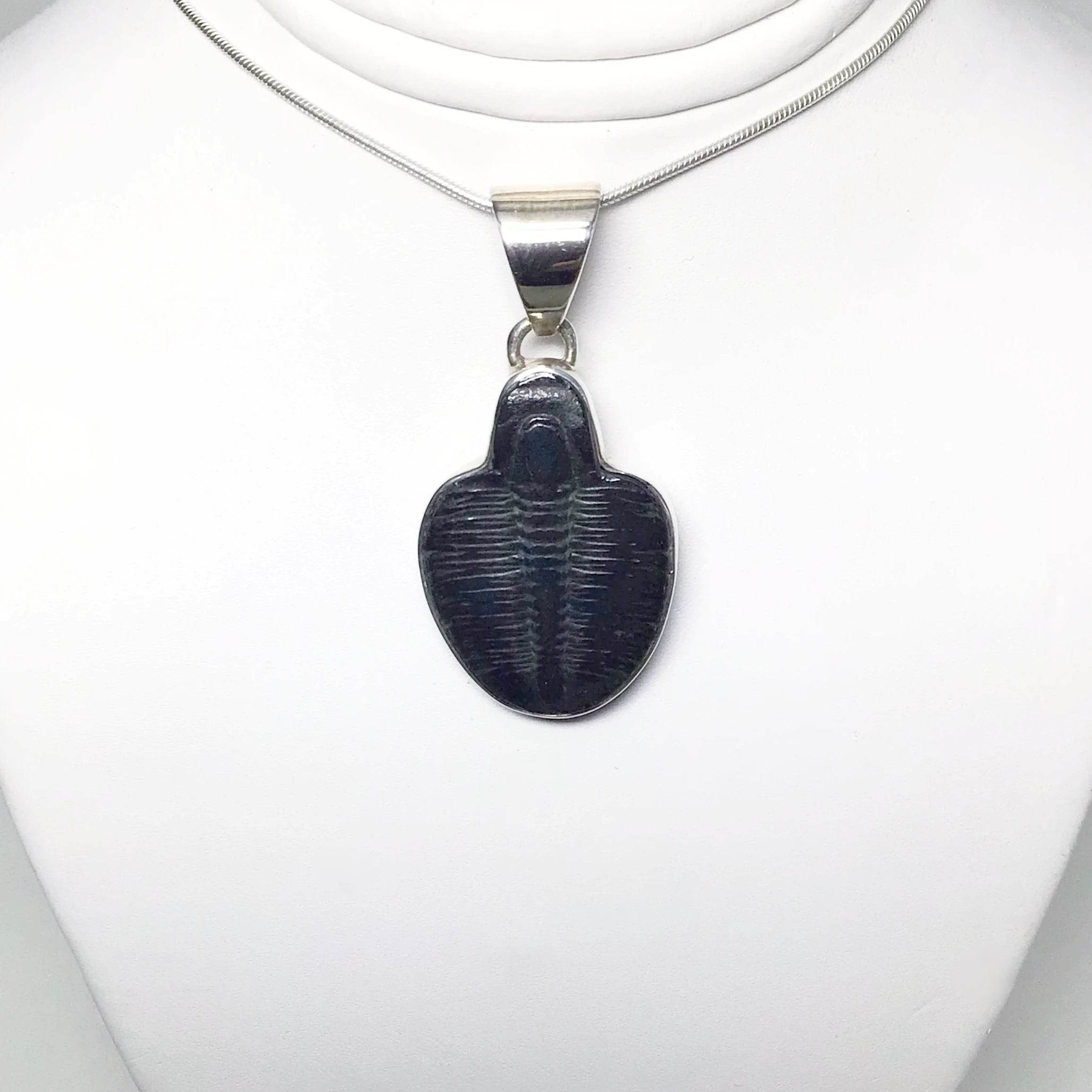 Trilobite Elrathia Kingii Fossil Pendant - Rocks and Gems Canada