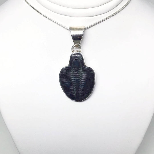 Trilobite Elrathia Kingii Fossil Pendant - Rocks and Gems Canada