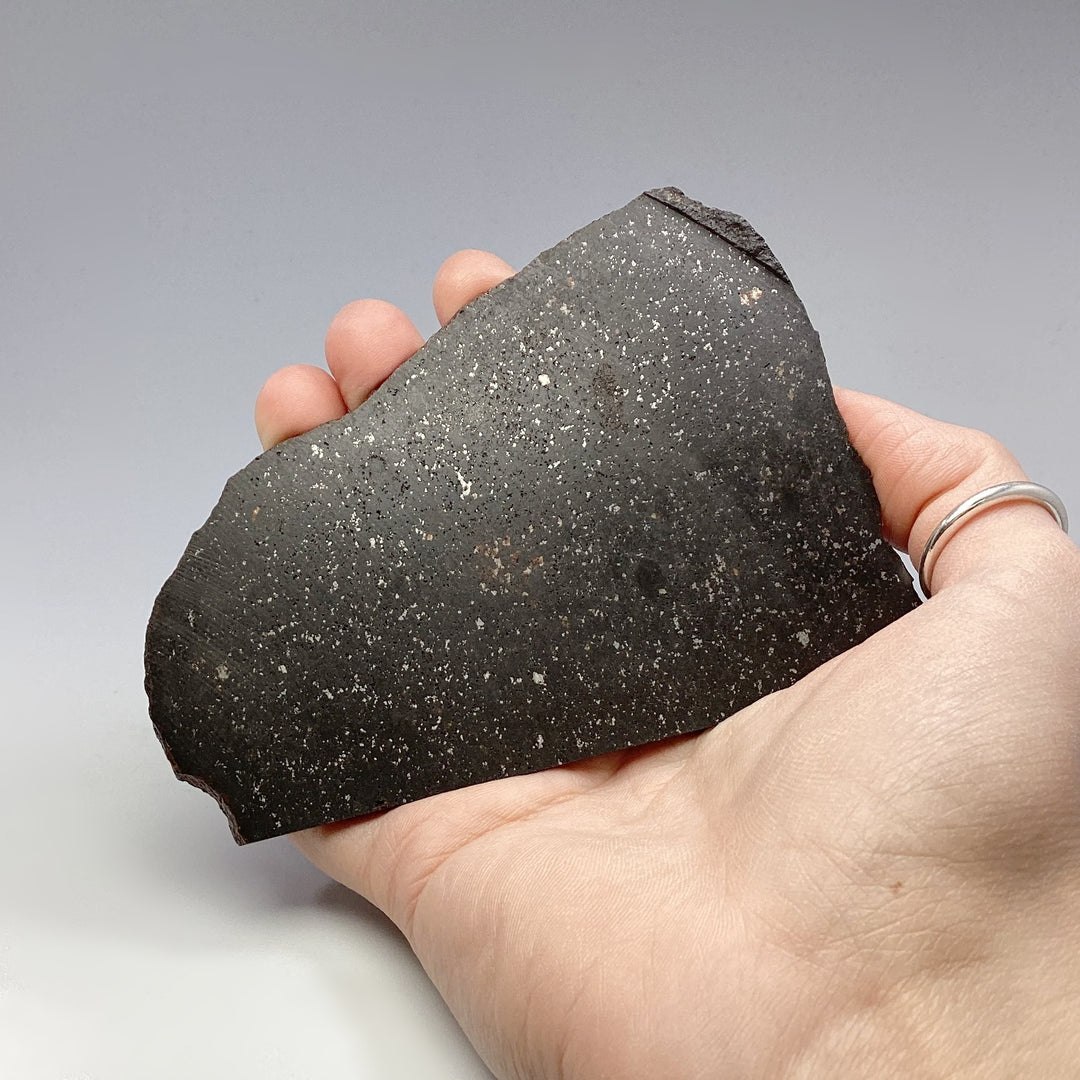 NWA Chondrite Meteorite Slab - Rocks and Gems Canada