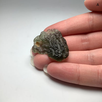 Moldavite Specimen at $399 Each