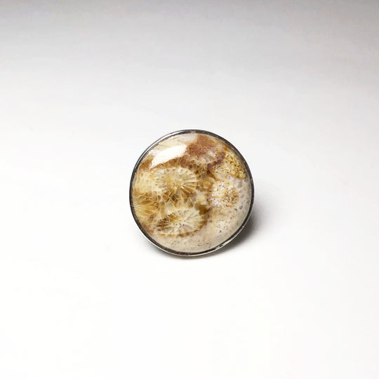 Fossil Coral Ring - Rocks and Gems Canada