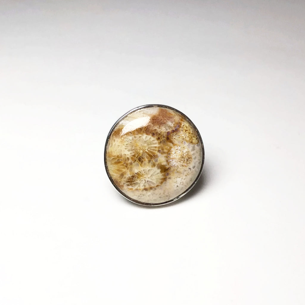 Fossil Coral Ring Rocks and Gems Canada