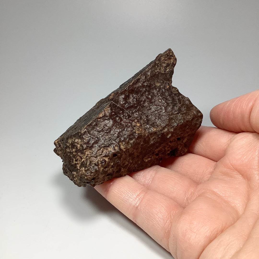 NWA Chondrite Meteorite - Rocks and Gems Canada