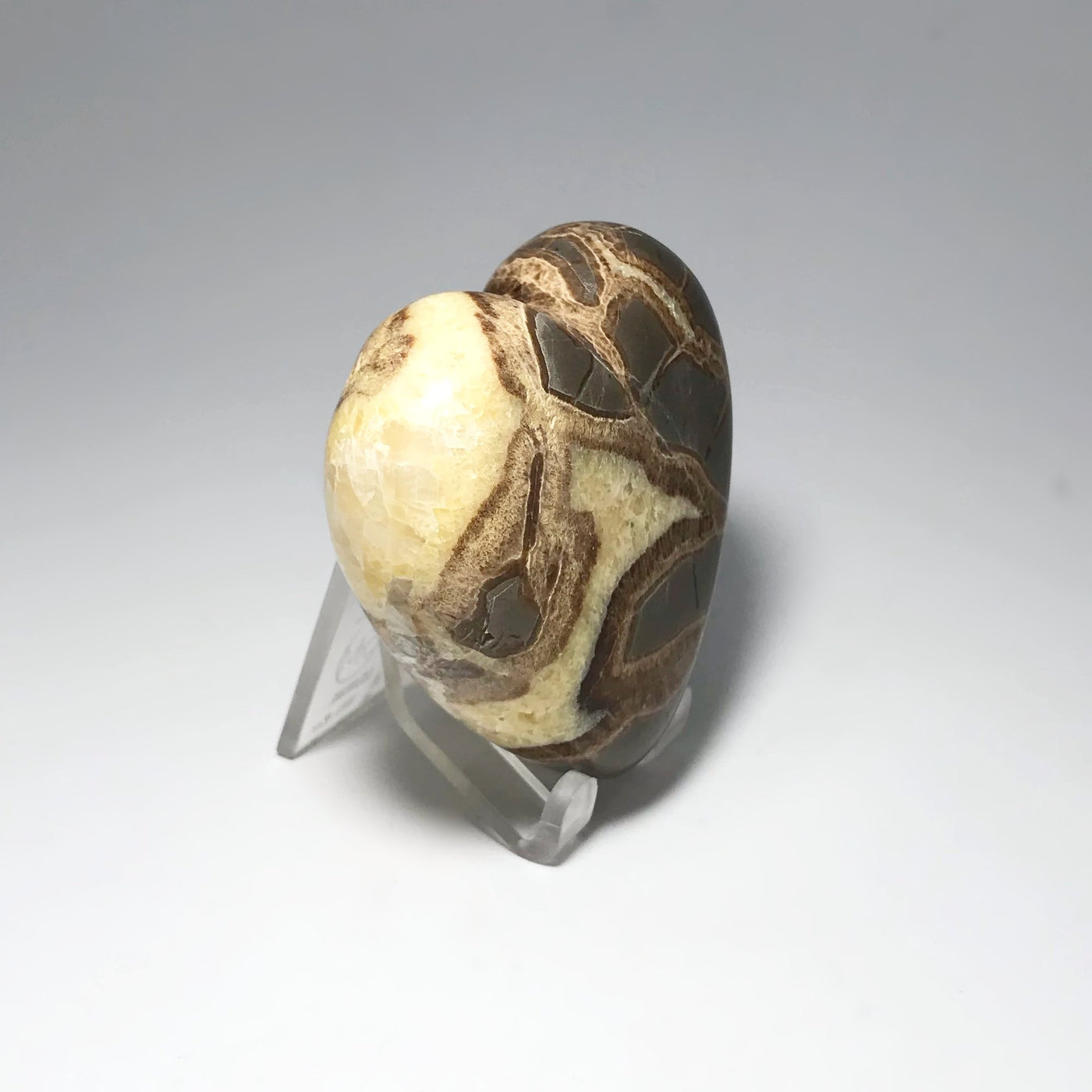 Septarian Heart