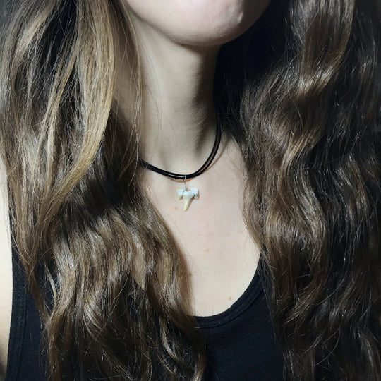 Shark Tooth Fossil Wire Wrapped Necklace - Rocks and Gems Canada
