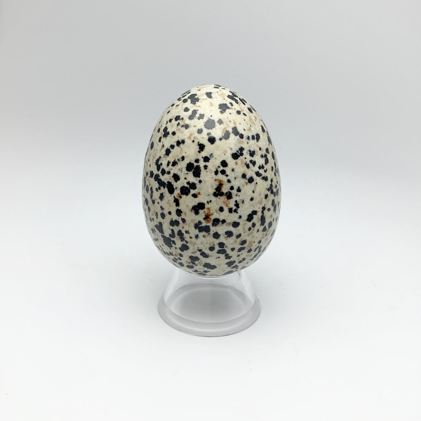 Dalmatian Jasper Egg