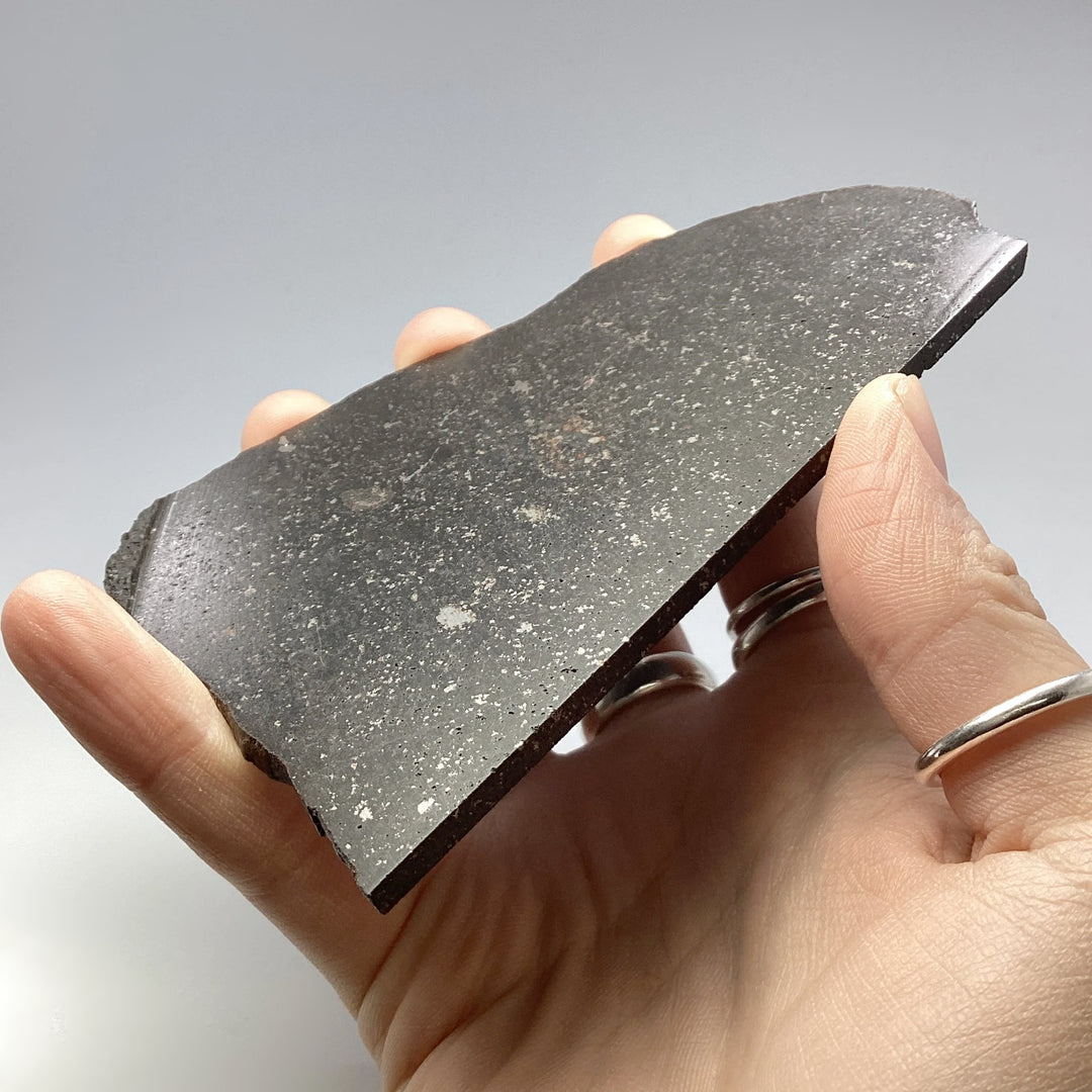 NWA Chondrite Meteorite Slab - Rocks and Gems Canada
