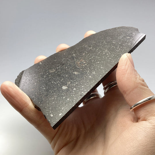 NWA Chondrite Meteorite Slab - Rocks and Gems Canada