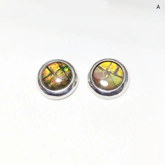 Alberta Ammolite Stud Earrings - Rocks and Gems Canada