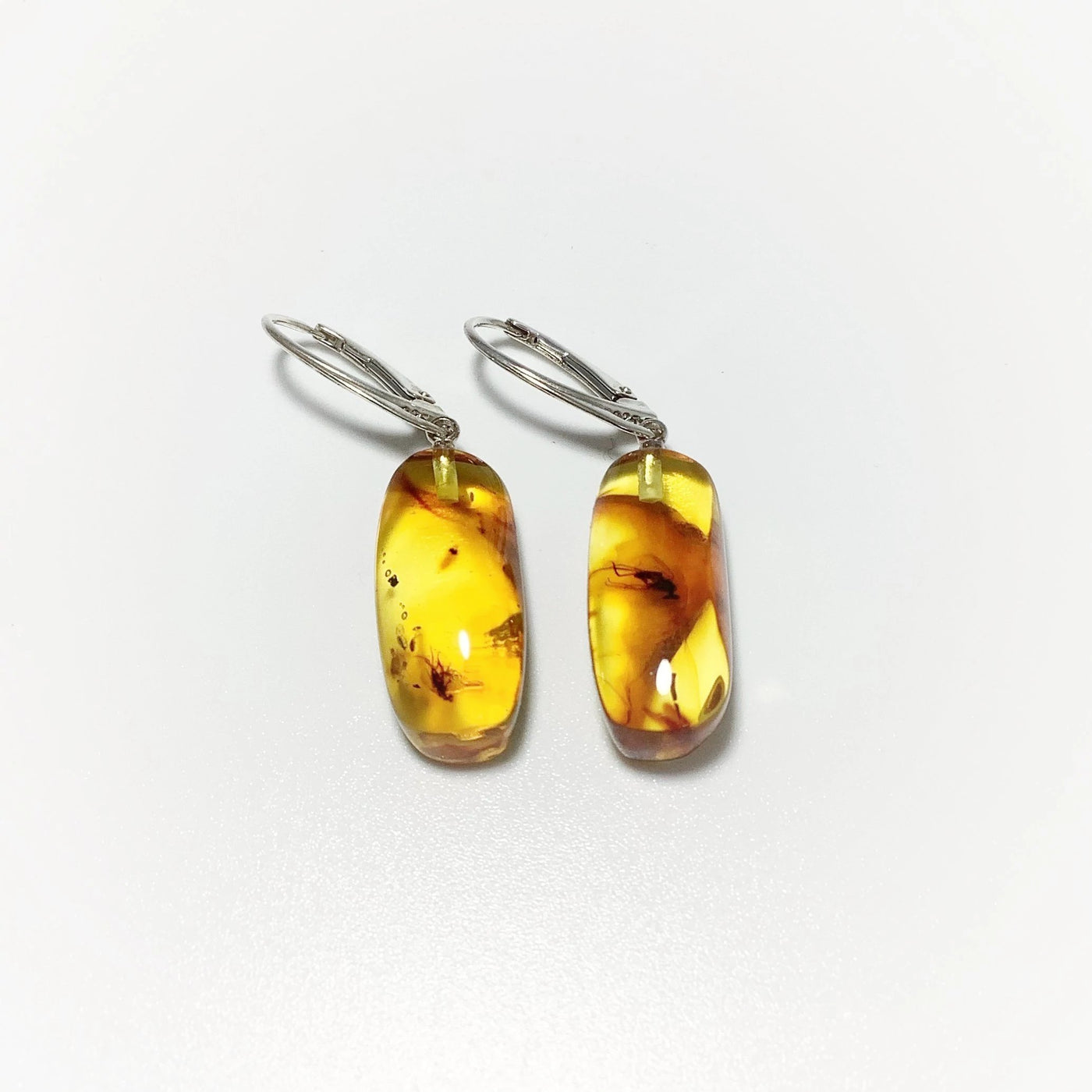 Amber with Preserved Insect Inclusion Dangle Earrings