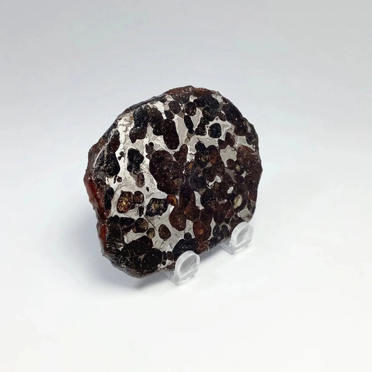 Sericho Meteorite Slice - Rocks and Gems Canada