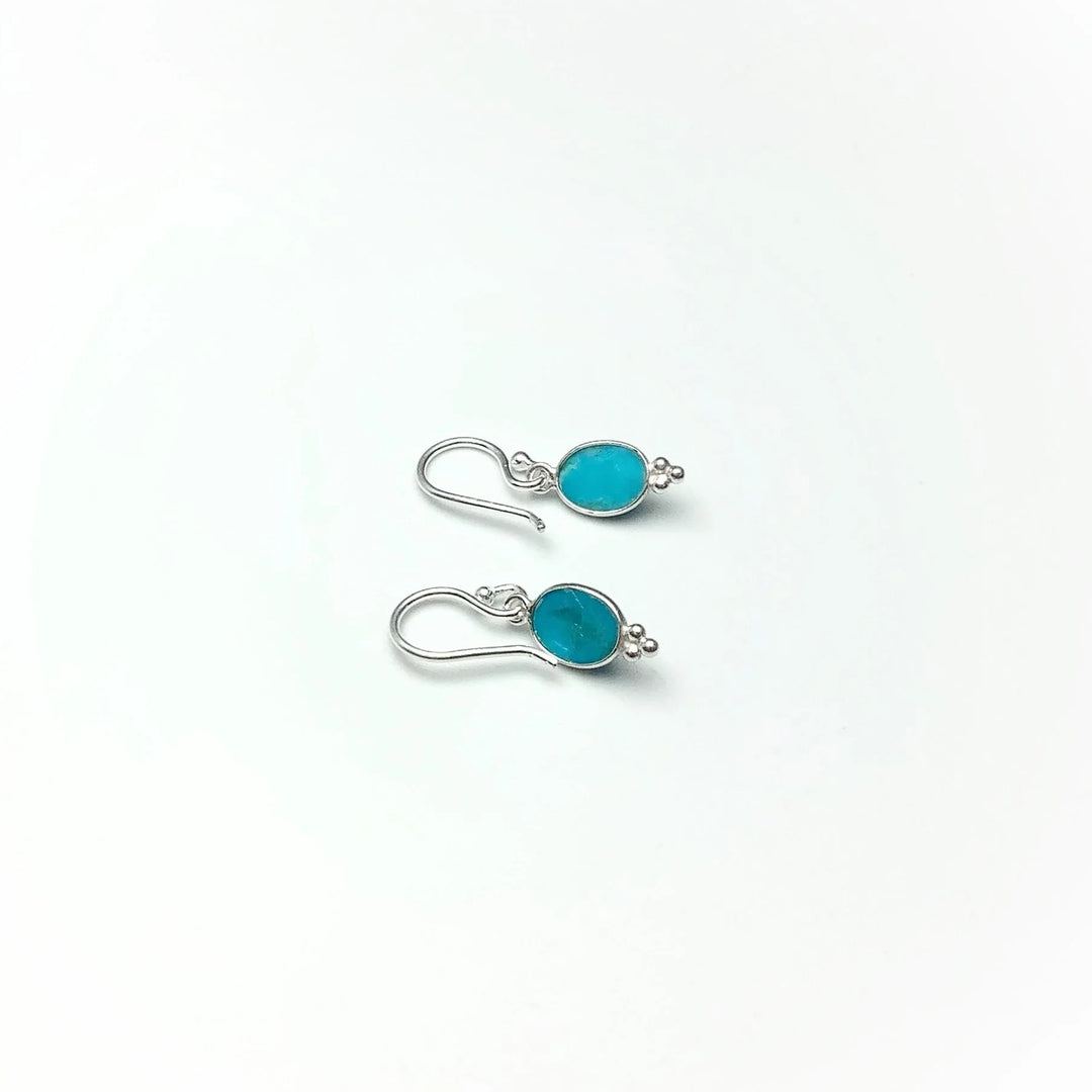 Turquoise Dangle Earrings - Rocks and Gems Canada
