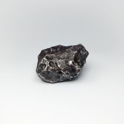 Campo Del Cielo Meteorite Large Specimen