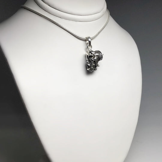 Campo Del Cielo Meteorite Pendant - Rocks and Gems Canada
