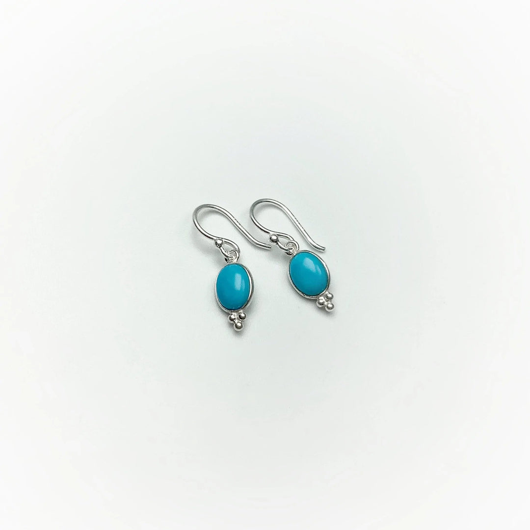 Turquoise Dangle Earrings - Rocks and Gems Canada