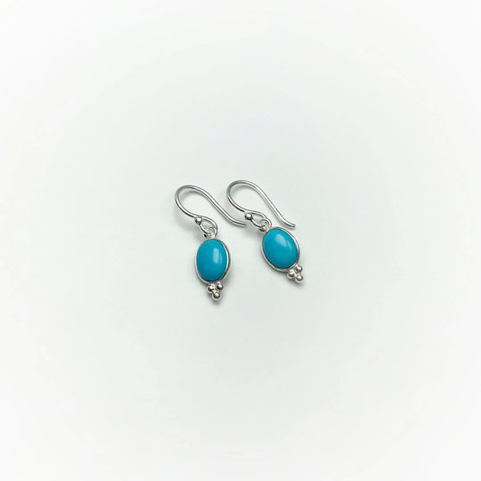 Turquoise Dangle Earrings - Rocks and Gems Canada