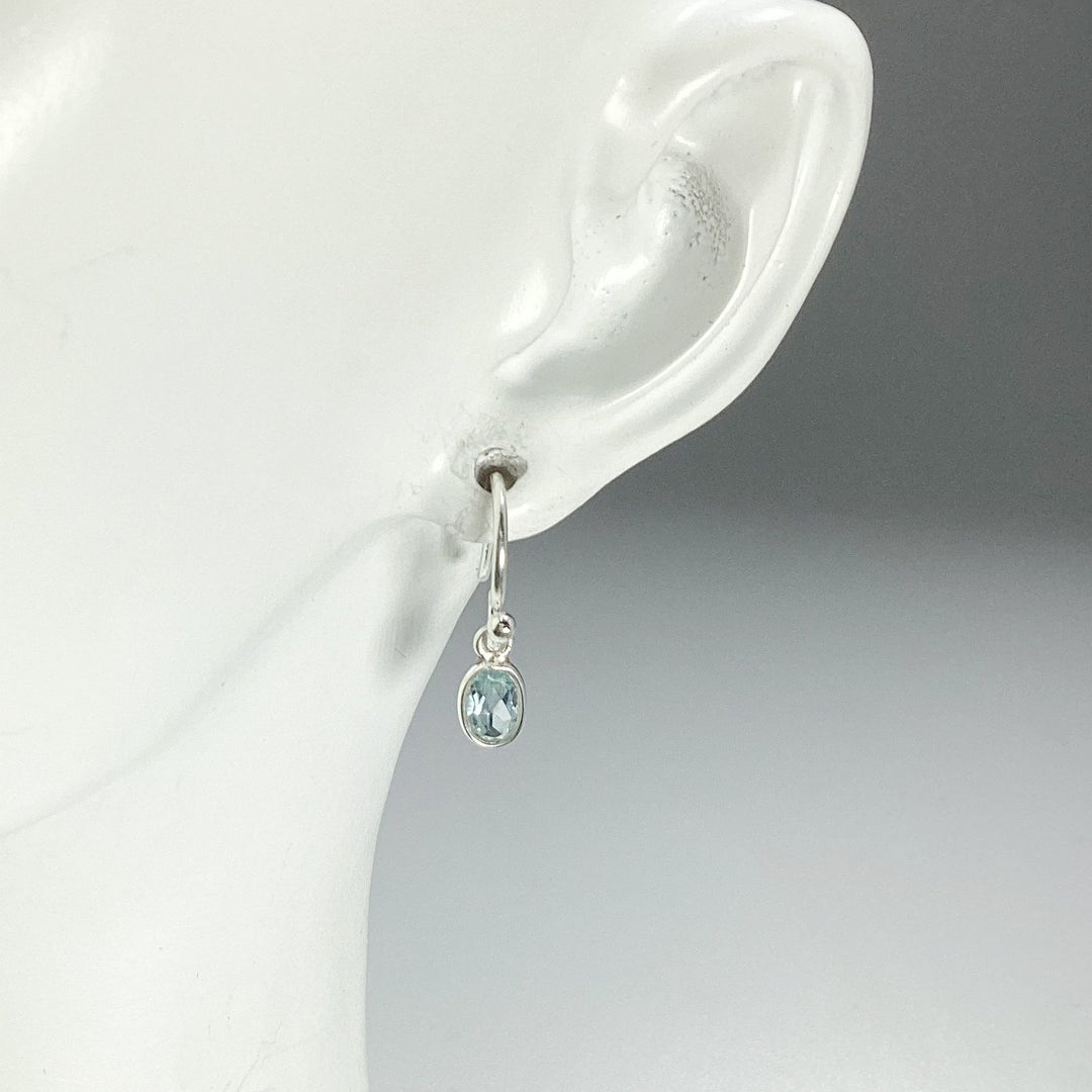 Blue Topaz Dangle Earrings - Rocks and Gems Canada