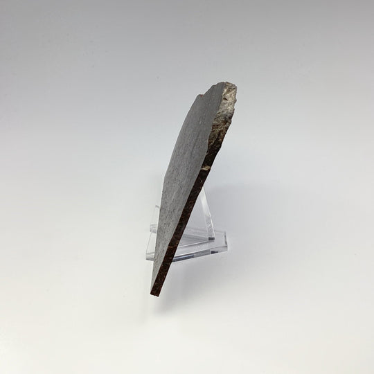 NWA Chondrite Meteorite Slab - Rocks and Gems Canada