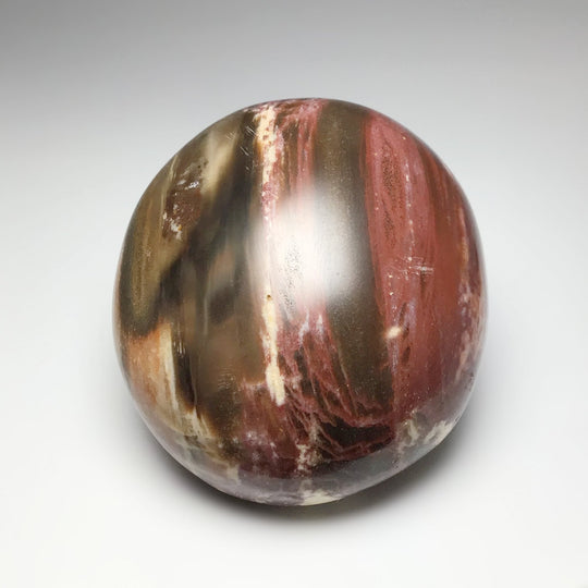 Petrified Wood Tumble - Rocks and Gems Canada